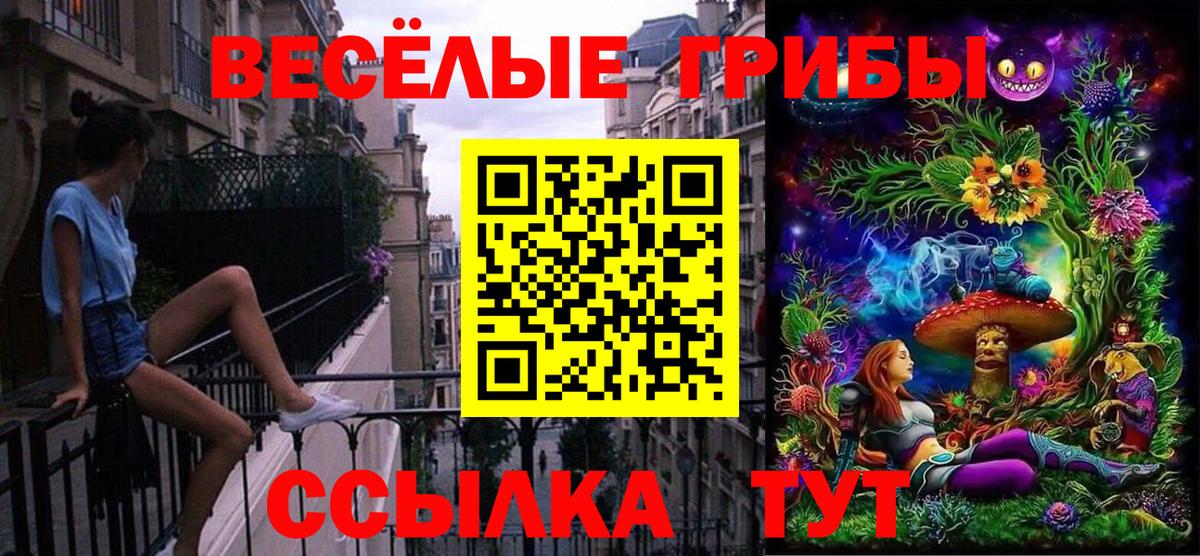 Галлюциногенные грибы Cubensis Электрогорск