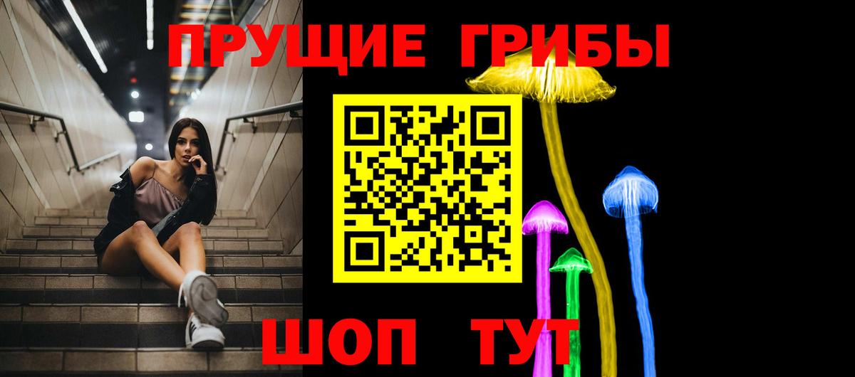Электрогорск  Псилоцибиновые грибы Psilocybine cubensis  магазин продажи наркотиков  Вход с VPN 